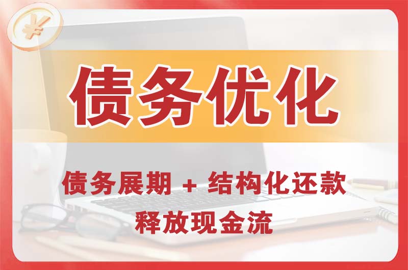 铁力债务优化